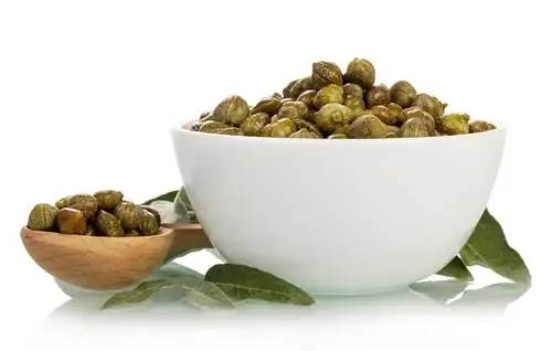 Каперсы и их свойства. Что они используют на кухне?