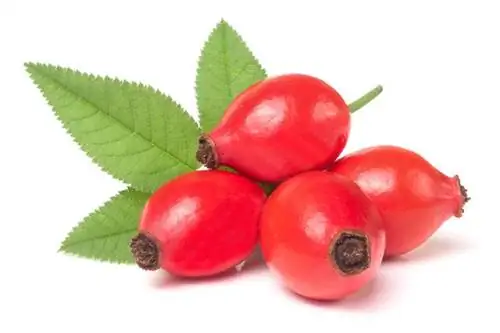 1. Шиповник - 1800 мг/100 г