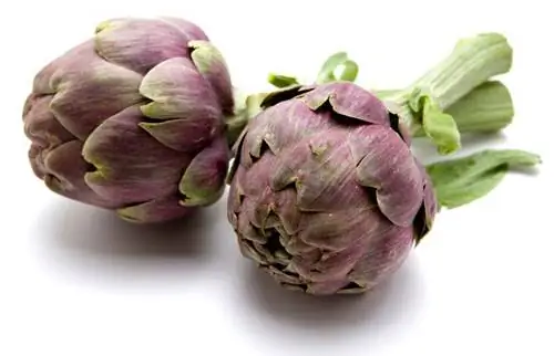 Артишоки: польза для здоровья. Как приготовить артишоки?