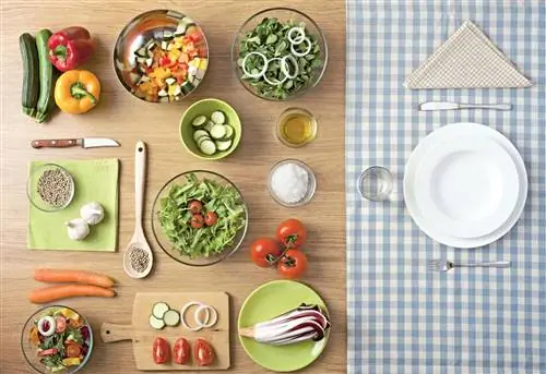 ВЕГЕТАРИАНСКАЯ ДИЕТА - путь к хорошей и долгой жизни