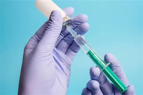 Ампициллин – действие, дозировка, показания к применению