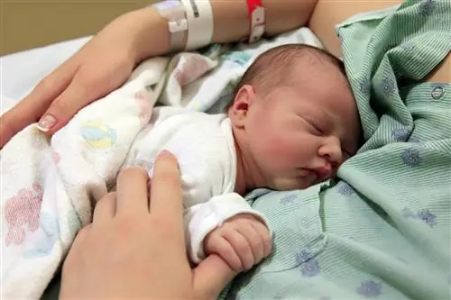 Все было еще не так плохо: в феврале родилось наименьшее количество детей с 1945 года. Польше грозит демографический коллапс?