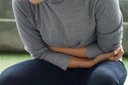 Хеликобактер пилори