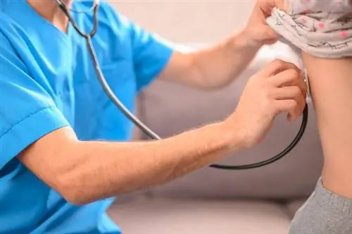 Пневмонию у детей может диагностировать врач на основании аускультации