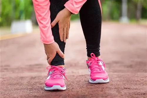 Задержка воды в организме может свидетельствовать о различных заболеваниях. Что?