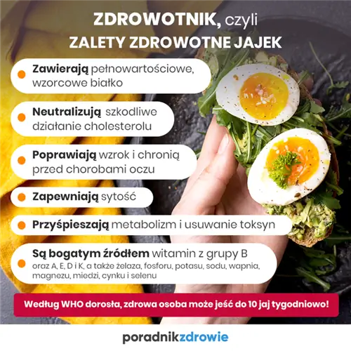 Яйцо - источник белка, кладезь витаминов. Полезны ли яйца?