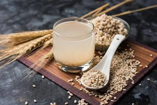 Перловка (перловая крупа) – пищевая ценность и лечебные свойства