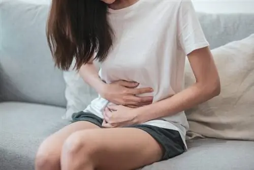 Синдром СИБР также известен как синдром избыточного бактериального роста.