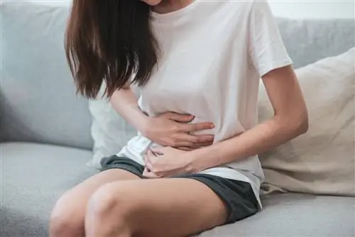 Синдром СИБР - избыточный бактериальный рост в тонкой кишке - причины, симптомы, лечение