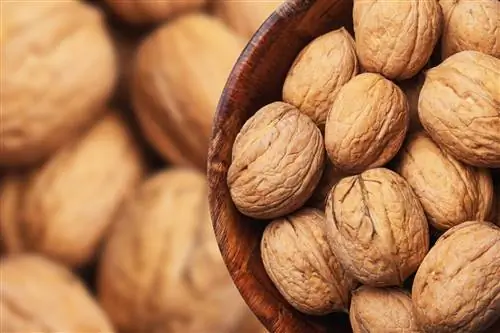 Грецкие орехи и холестерин. Новое исследование