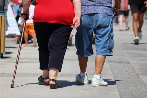 медленная прогулка