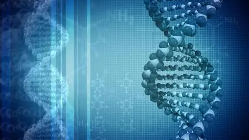 ГЕНЕТИЧЕСКИЕ ЗАБОЛЕВАНИЯ: причины, наследование и диагностика