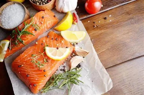 Лосось – пищевая ценность. Лосось полезен?