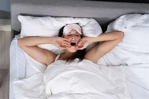 Чем меньше сна, тем больше жира на животе, показало новое исследование