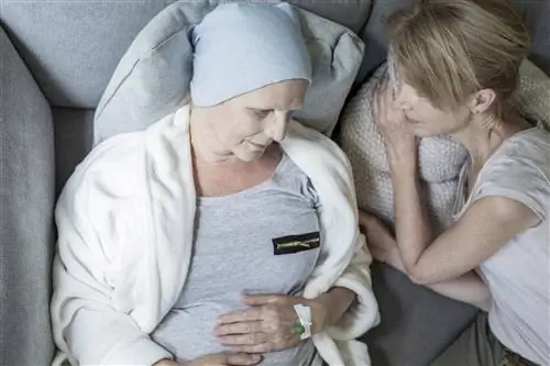 Инновационное лечение рака поджелудочной железы наконец стало бесплатным. Но только в одной клинике