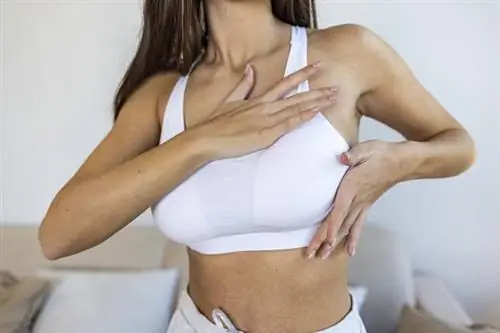 Ложноположительная маммография - такие результаты получают до половины женщин. Почему это происходит?