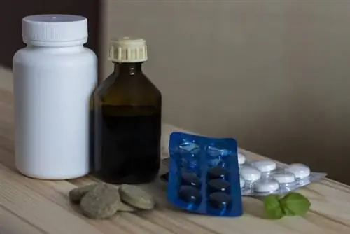 Стоит ли сейчас принимать препараты йода? Официальная позиция эндокринологов