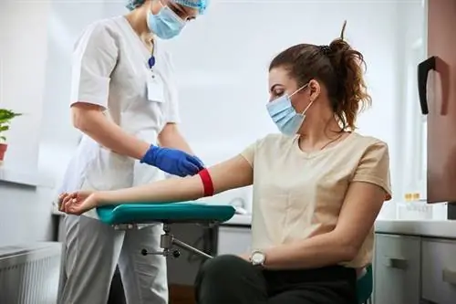 анализ крови