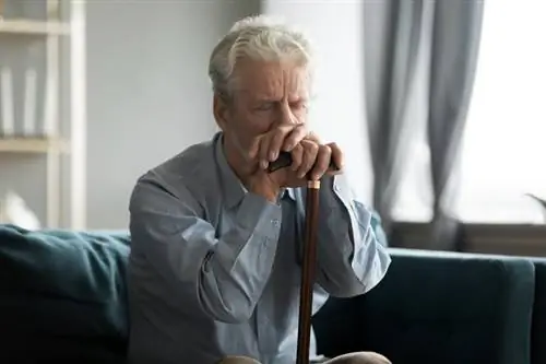 Обнаружены более ранние признаки болезни Паркинсона. Один из них очень распространен