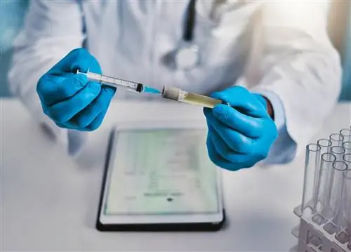 Россия угрожает очередной фейковой новостью. «Украина распространяет воинствующую чуму»