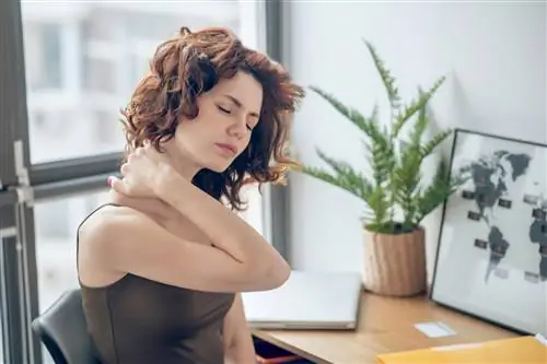 Шея - анатомия. Причины и лечение болей в шее