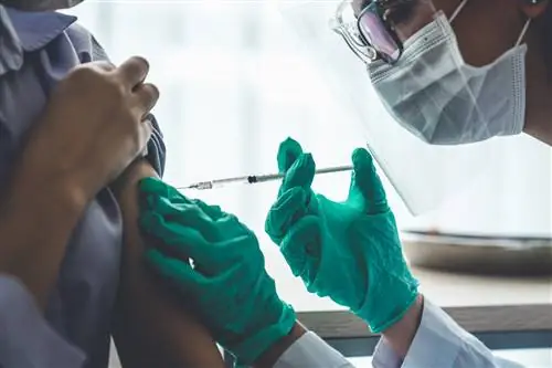 Нужна ли нам четвертая доза вакцины?