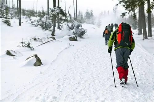 Скандинавская ходьба зимой: как одеться и чем отличаются зимние тренировки