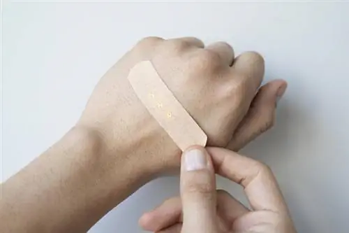 Зерно - что это такое и где встречается? Как лечить грануляционную ткань?