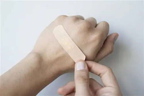 Зерно – что это такое и где его найти? Как лечить грануляционную ткань?