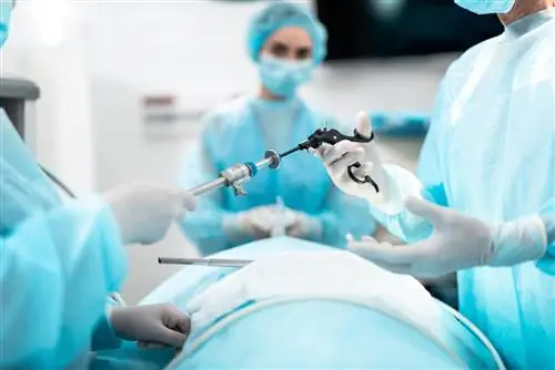 Лапароскопия шаг за шагом. Как делают лапароскопию?