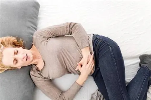 Энтерит проявляется сильными болями в животе и проблемами с желудком.