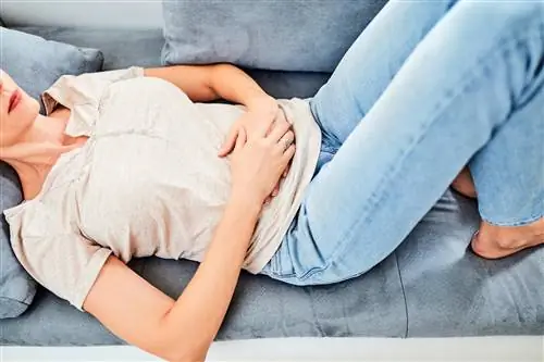 Язва желудка - причины, симптомы и лечение язвы желудка