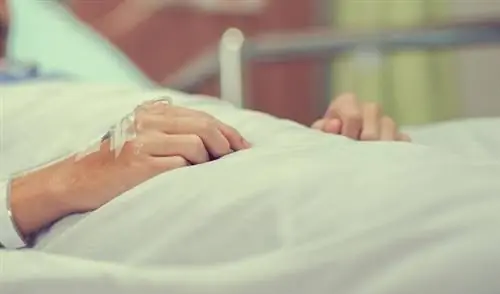 Диссеминированное внутрисосудистое свертывание