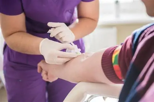 Несвоевременное обнаружение может иметь серьезные последствия. Как распознать остеомиелит?