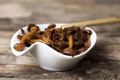Вкус умами - что это? Какие продукты имеют этот вкус? Вкус умами - что это? Какие продукты имеют этот вкус?