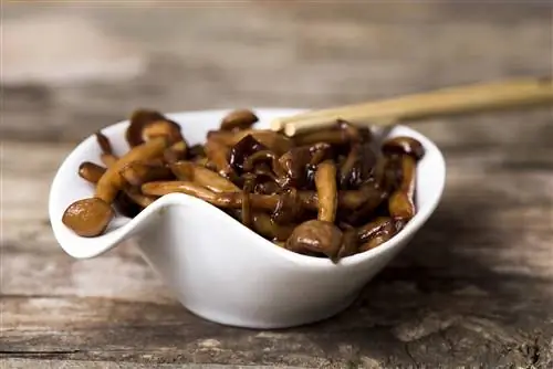 Вкус умами - что это такое? Какие продукты имеют этот вкус?