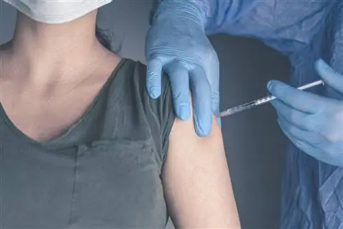 Выдавал себя за врача и прививался от COVID-19. Что он делал на самом деле?