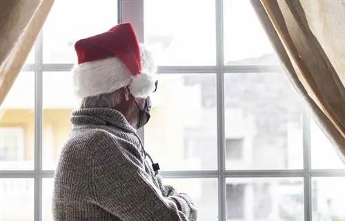 Нам грозит изоляция на Рождество?