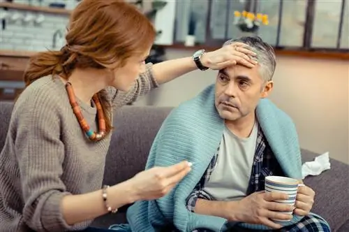 Парагрипп (парагрипп) - причины, симптомы и лечение