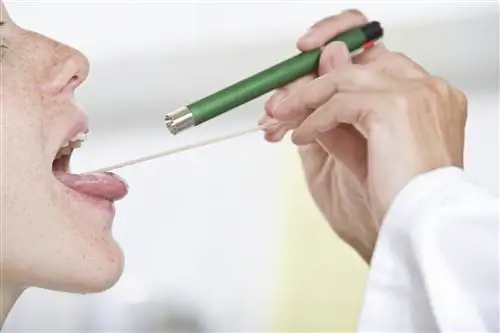 У тебя это в горле? Вам нужно срочно в травмпункт