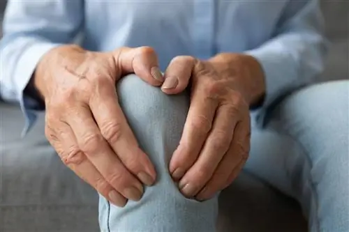 Остеопороз - что это такое? Причины, симптомы, лечение