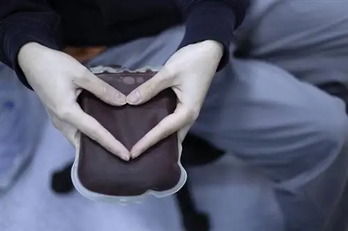 Панцитопения - причины, симптомы и лечение