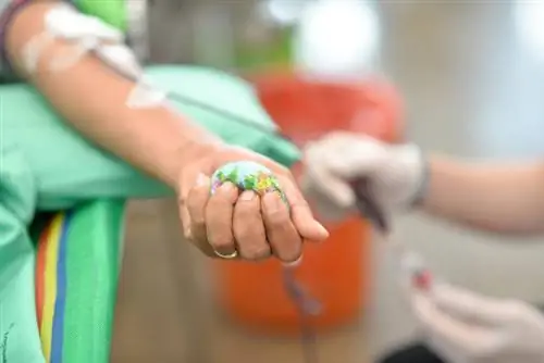 Плазмаферез - определение, виды, методы