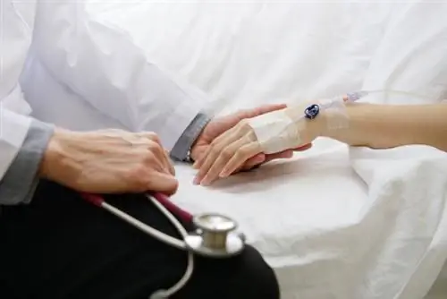 Острая ишемия кишечника может быть опасной для жизни. Как это проявляется?