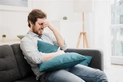 язва желудка