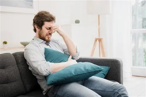 Язва желудка – симптомы и лечение