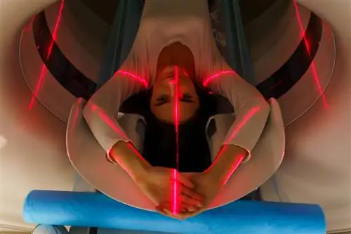 Контраст: зачем давать и когда вызывает аллергию