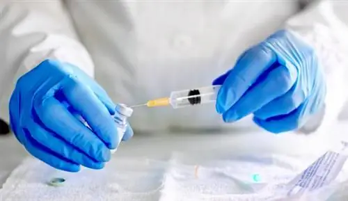 Безопасно ли увеличивать интервал между дозами вакцины против COVID-19?