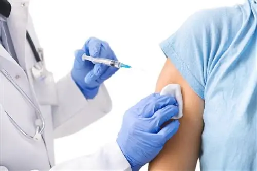 Стоит ли делать тест на антитела после прививки? Эксперт объясняет