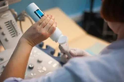 Эластография - что это за тест и что он выявляет?2